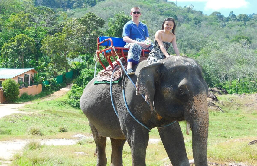 honeymoon wildlife tour package in uttarakhand